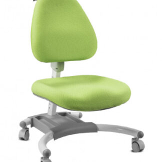 Yashi students chair gray/green CY100