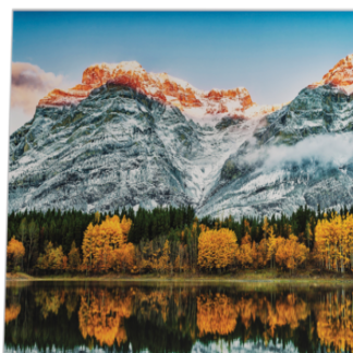 HP Monitor 27fw 27" FHD (1920x1080) IPS AG 16:9 1000:1 5ms 300 cd/m? 0.311 mm 1 VGA 2 HDMI AMD FreeSync White