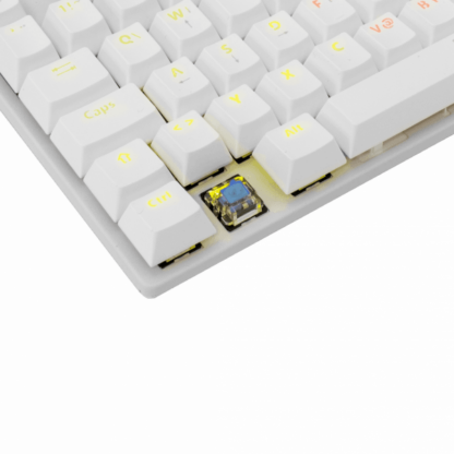 White Shark KEYBOARD GK-2106 COMMANDOS WHITE - Mechanical / US - BLUE SW. - Image 2