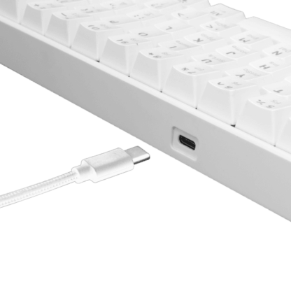 White Shark MECHANICAL KEYBOARD GK-2022 SHINOBI WHITE / US - BROWN.SW - Image 3