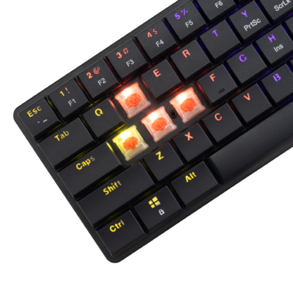 NAGAMAKI BLACK US - RED SWITCHES - Image 4